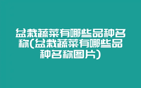 盆栽蔬菜有哪些品种名称(盆栽蔬菜有哪些品种名称图片)-会东网