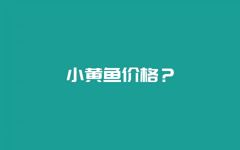 小黄鱼价格？-会东网