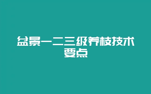 盆景一二三级养枝技术要点-会东网