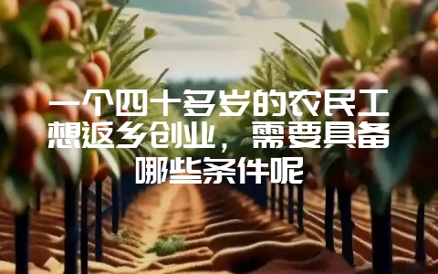 一个四十多岁的农民工想返乡创业，需要具备哪些条件呢-会东网