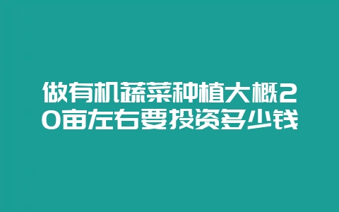 做有机蔬菜种植大概20亩左右要投资多少钱-会东网