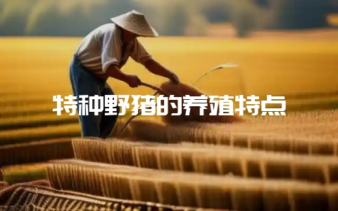 特种野猪的养殖特点-会东网