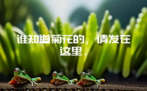 谁知道菊花的，请发在这里。-会东网
