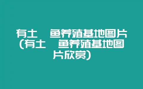 有土鳝鱼养殖基地图片(有土鳝鱼养殖基地图片欣赏)-会东网