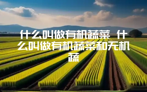 什么叫做有机蔬菜 什么叫做有机蔬菜和无机蔬-会东网