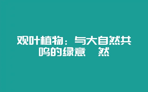 观叶植物：与大自然共鸣的绿意盎然-会东网