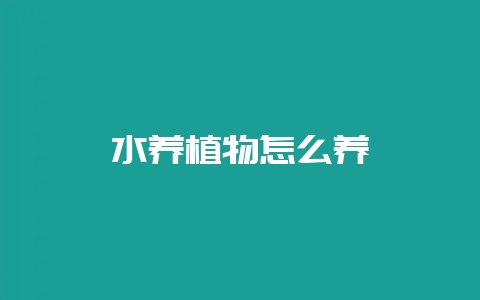 水养植物怎么养-会东网