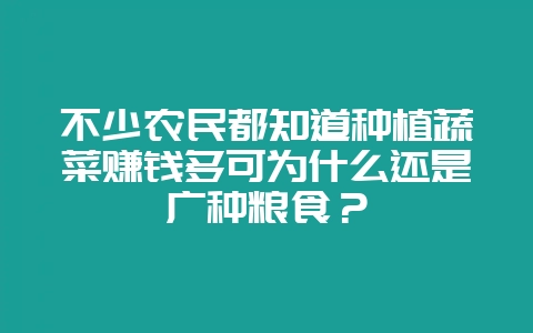 不少农民都知道种植蔬菜赚钱多可为什么还是广种粮食？-会东网