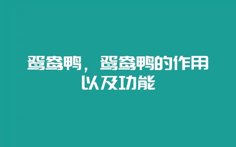鸳鸯鸭，鸳鸯鸭的作用以及功能-会东网