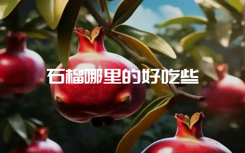 石榴哪里的好吃些-会东网