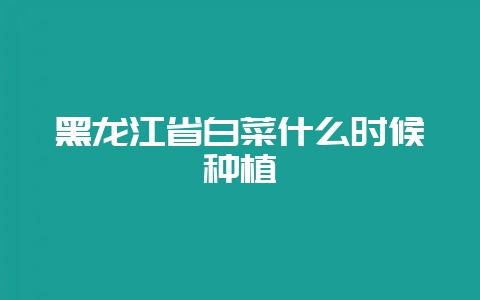 黑龙江省白菜什么时候种植-会东网