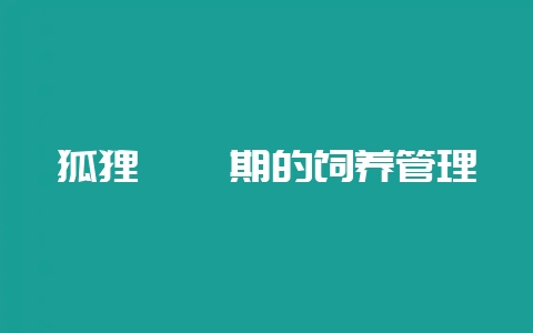 狐狸妊娠期的饲养管理-会东网