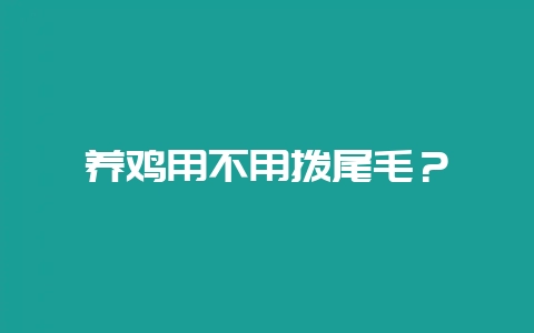 养鸡用不用拨尾毛？-会东网