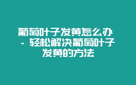 葡萄叶子发黄怎么办 – 轻松解决葡萄叶子发黄的方法插图 葡萄叶子发黄怎么办 – 轻松解决葡萄叶子发黄的方法插图
