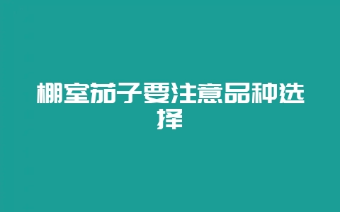 棚室茄子要注意品种选择-会东网
