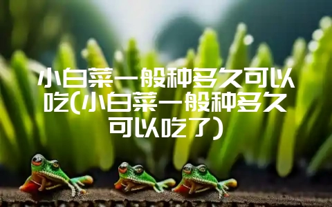 小白菜一般种多久可以吃(小白菜一般种多久可以吃了)插图 小白菜一般种多久可以吃(小白菜一般种多久可以吃了)插图