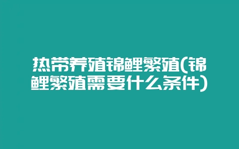 热带养殖锦鲤繁殖(锦鲤繁殖需要什么条件)-会东网