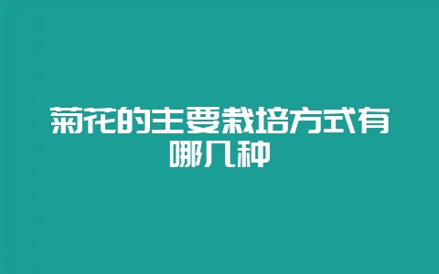 菊花的主要栽培方式有哪几种-会东网