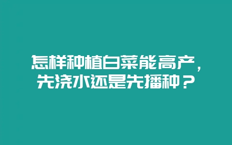 怎样种植白菜能高产，先浇水还是先播种？-会东网