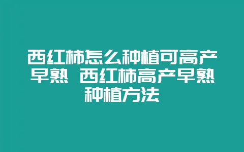 西红柿怎么种植可高产早熟 西红柿高产早熟种植方法-会东网