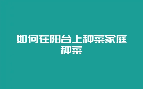 如何在阳台上种菜家庭种菜-会东网