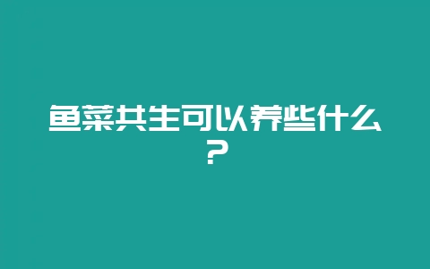 鱼菜共生可以养些什么？-会东网
