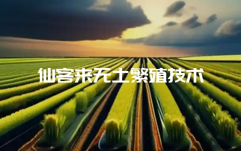 仙客来无土繁殖技术-会东网