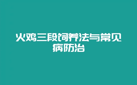 火鸡三段饲养法与常见病防治插图 火鸡三段饲养法与常见病防治插图