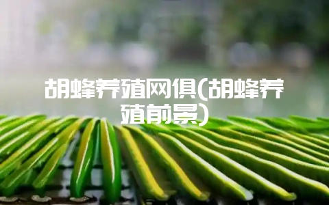 胡蜂养殖网俱(胡蜂养殖前景)-会东网