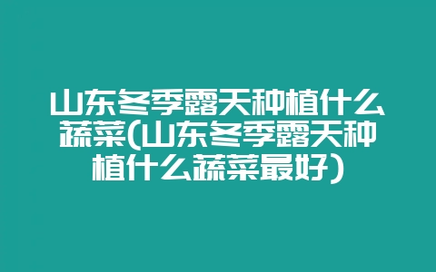 山东冬季露天种植什么蔬菜(山东冬季露天种植什么蔬菜最好)-会东网