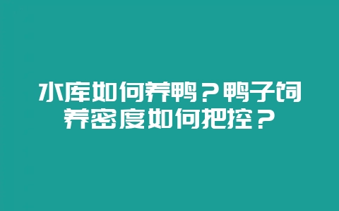 水库如何养鸭？鸭子饲养密度如何把控？-会东网