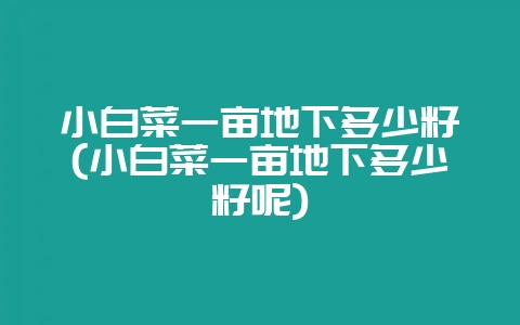 小白菜一亩地下多少籽(小白菜一亩地下多少籽呢)-会东网