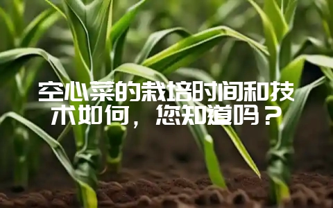 空心菜的栽培时间和技术如何,您知道吗?插图 空心菜的栽培时间和技术如何,您知道吗?插图