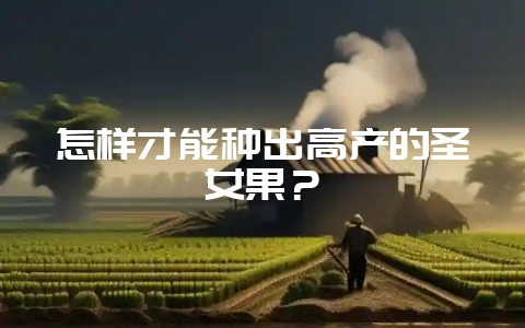 怎样才能种出高产的圣女果？-会东网