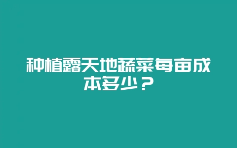 种植露天地蔬菜每亩成本多少?-会东网