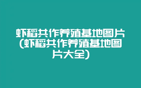 虾稻共作养殖基地图片(虾稻共作养殖基地图片大全)-会东网