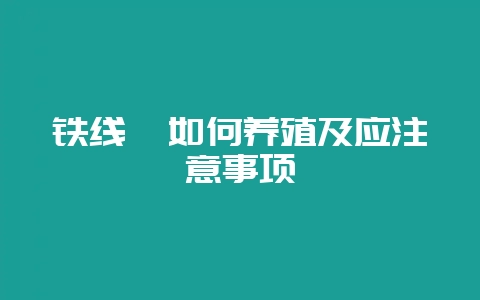 铁线蕨如何养殖及应注意事项-会东网