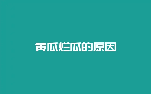 黄瓜烂瓜的原因-会东网