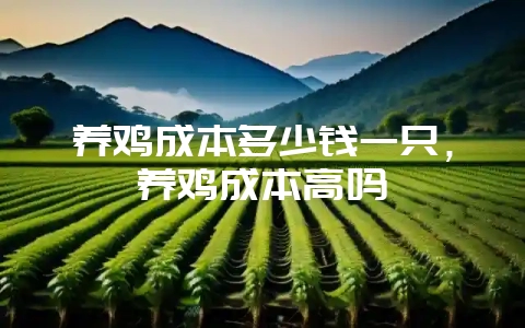 养鸡成本多少钱一只，养鸡成本高吗-会东网