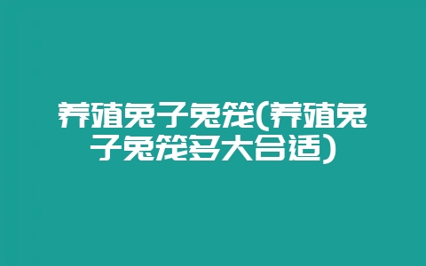 养殖兔子兔笼(养殖兔子兔笼多大合适)插图 养殖兔子兔笼(养殖兔子兔笼多大合适)插图