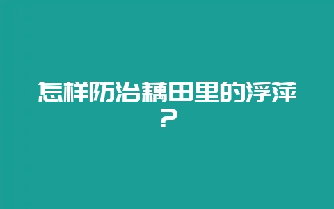 怎样防治藕田里的浮萍?插图 怎样防治藕田里的浮萍?插图