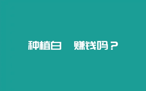 种植白芨赚钱吗?插图 种植白芨赚钱吗?插图