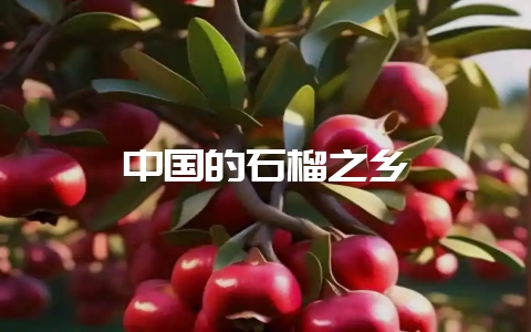 中国的石榴之乡-会东网