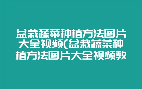 盆栽蔬菜种植方法图片大全视频(盆栽蔬菜种植方法图片大全视频教程)插图 盆栽蔬菜种植方法图片大全视频(盆栽蔬菜种植方法图片大全视频教程)插图