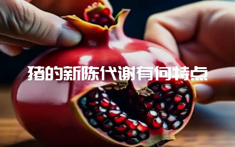 猪的新陈代谢有何特点-会东网