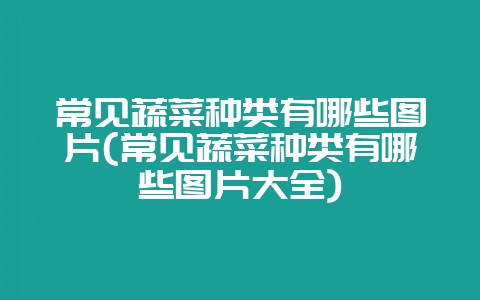 常见蔬菜种类有哪些图片(常见蔬菜种类有哪些图片大全)插图 常见蔬菜种类有哪些图片(常见蔬菜种类有哪些图片大全)插图