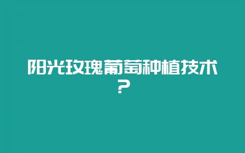 阳光玫瑰葡萄种植技术?插图 阳光玫瑰葡萄种植技术?插图