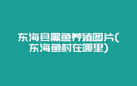 东海县黑鱼养殖图片(东海鱼村在哪里)-会东网