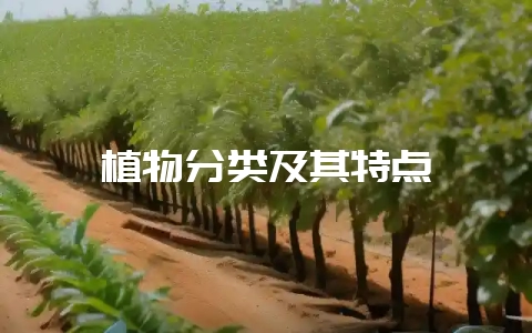植物分类及其特点-会东网