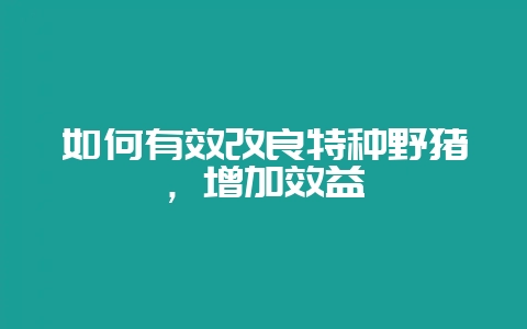 如何有效改良特种野猪，增加效益-会东网
